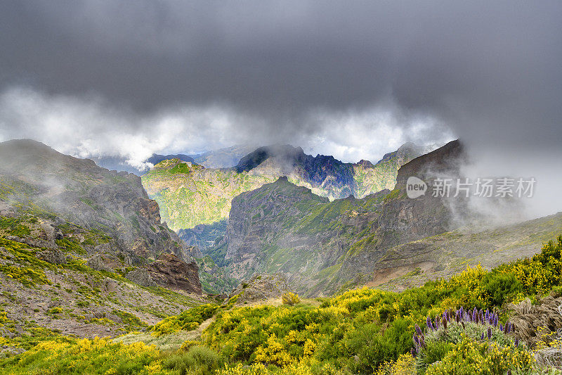 马德拉岛的山在Pico do ariiro和云彩在高山上